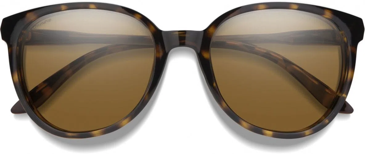 Smith Optics Archive 216801 Cheetah Sunglasses - view 58